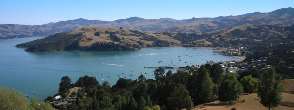 Akaroa dolphins