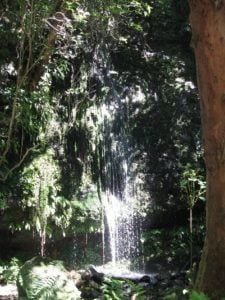 akaroa waterfall