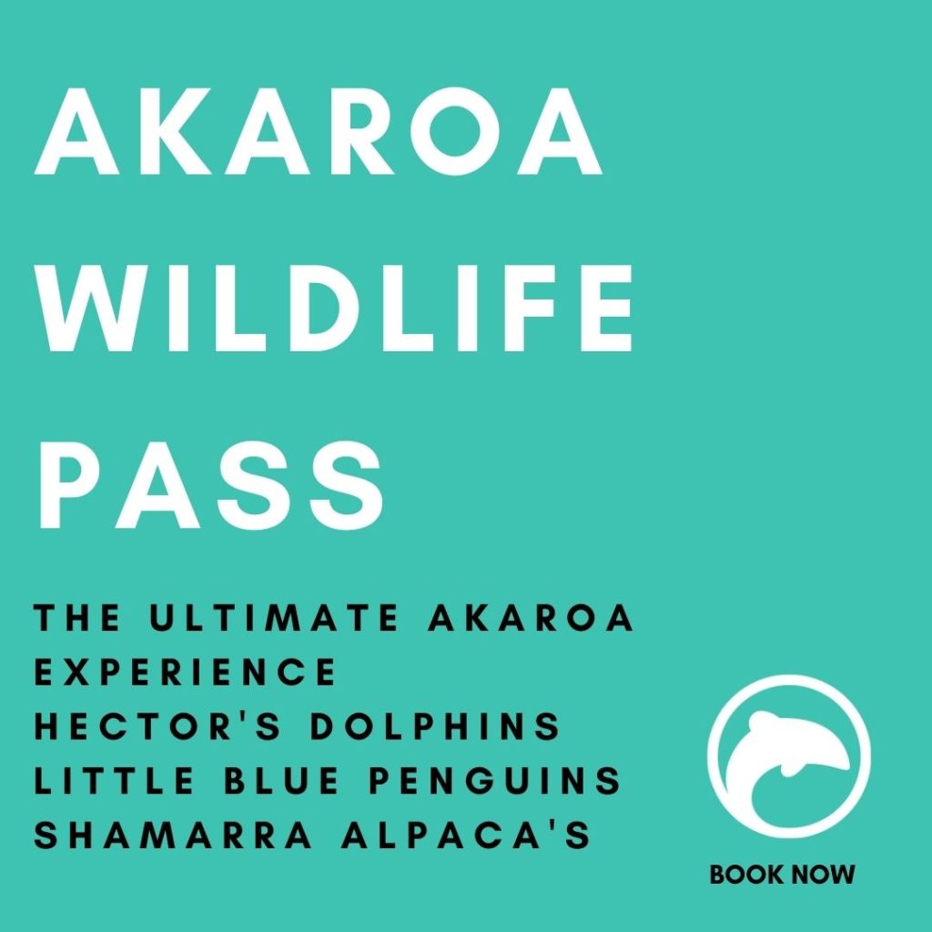 akaroa wildlife pass